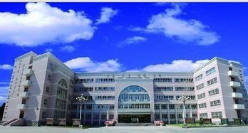 乌鲁木齐市八十八中学简介