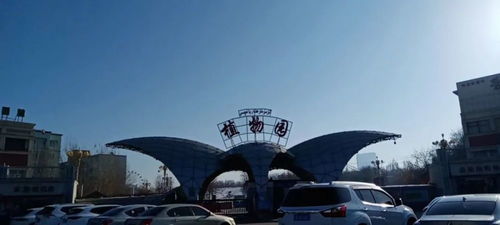 全城免费 全面爆发 刚刚,乌鲁木齐传来10大利好消息 幸福感爆棚